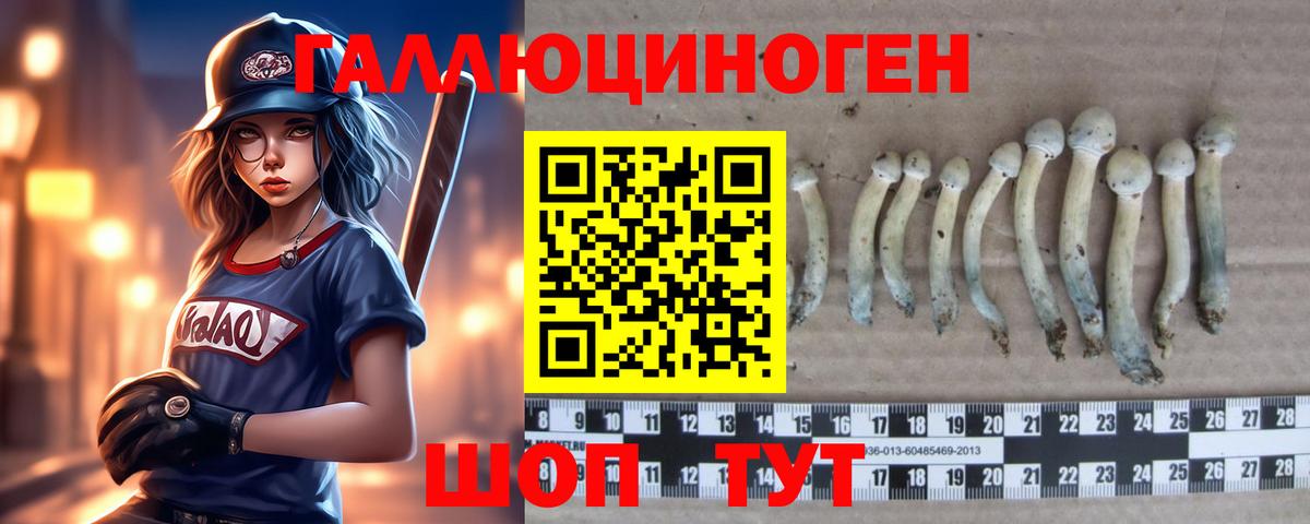 Галлюциногенные грибы прущие грибы Минусинск